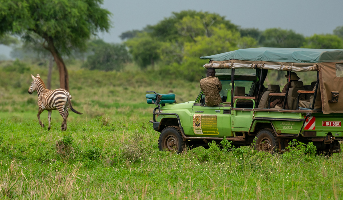Tour Activities in Kidepo Valley National Park