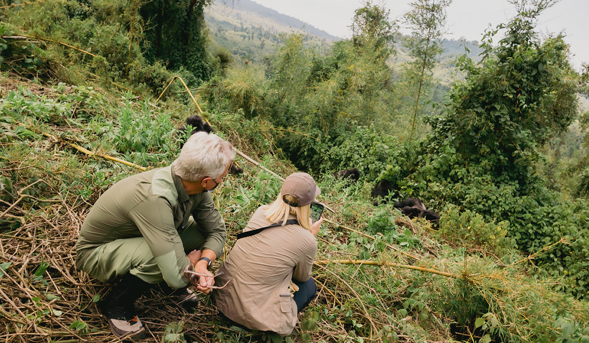 Top Tourist Activities in Rwanda