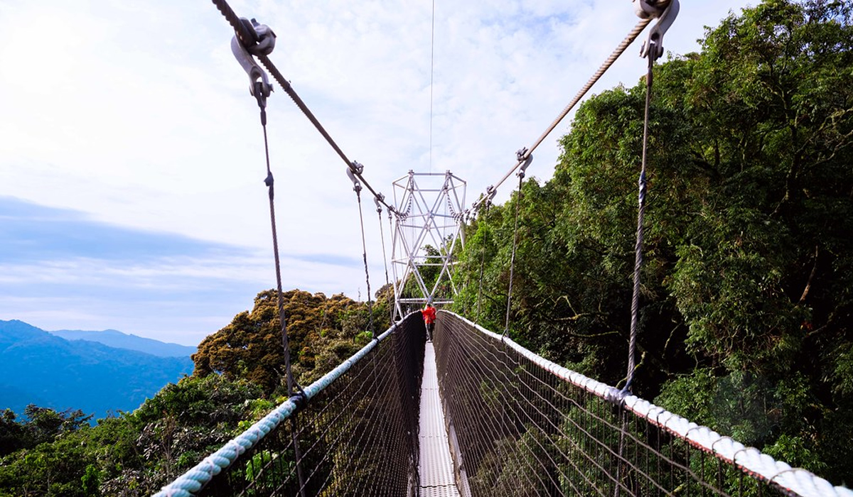 5 Days Best of Nyungwe National Park Tour