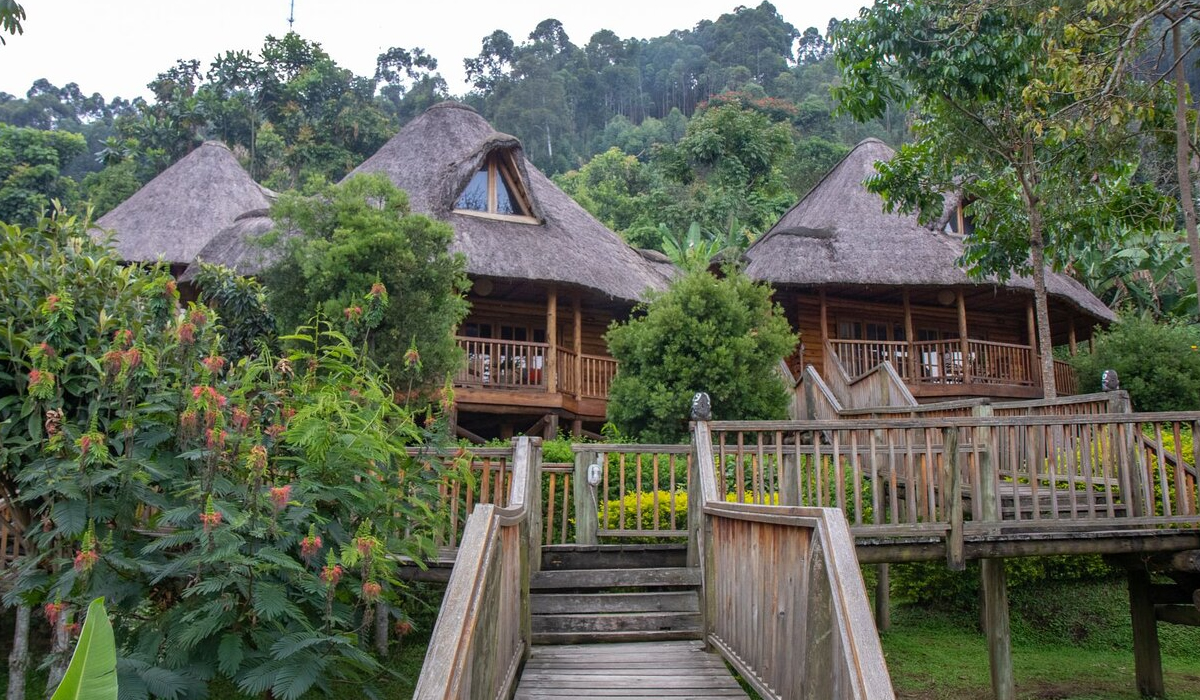 Trackers Safari Lodge